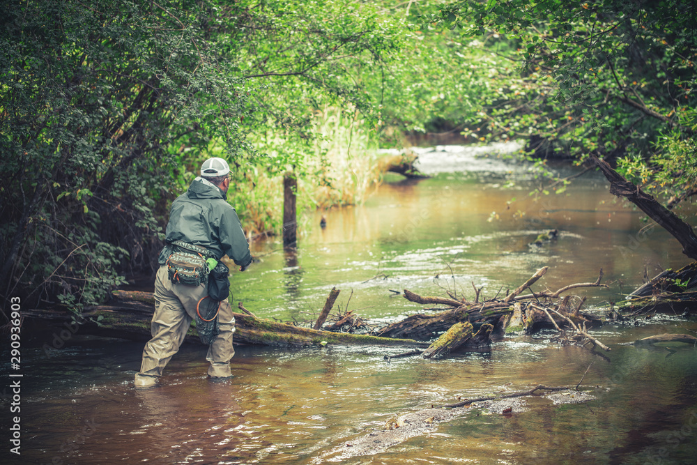 A fisherman catches spinning in the waders. Trout fishing. A fisherman catches spinning in the waders. Trout fishing.