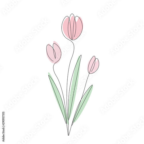 Tulips bouquet on white background, vector illustration