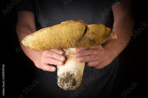 Man holding Boletus edulis in hand. Rustic style.