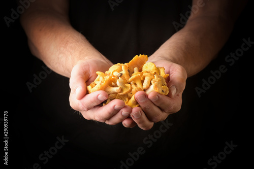 Man holding chanterelles in hand.