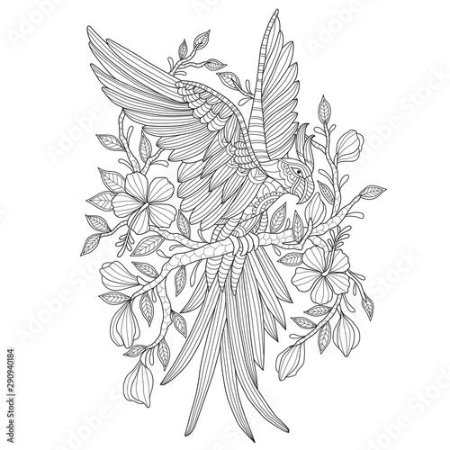 Hand drawn sketch illustration of parrot and flowers for adult coloring book.