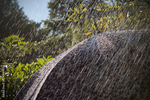 umbrella and a summer rain shower