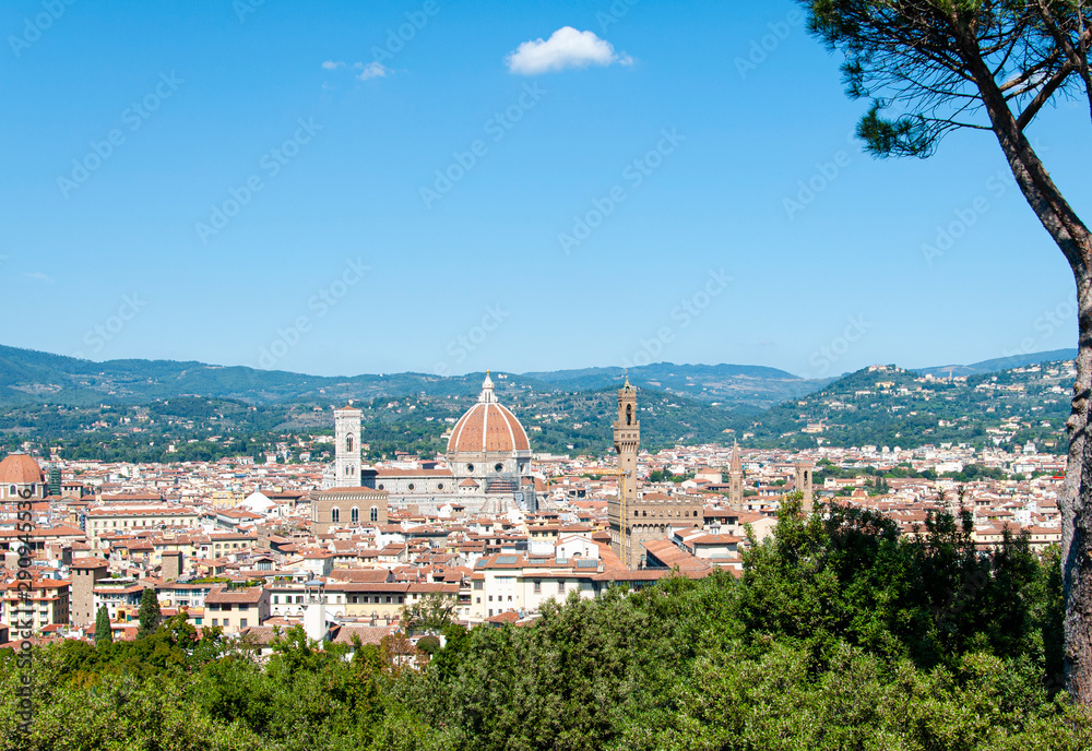 Florence skyline in a sunny day with a cathedral view