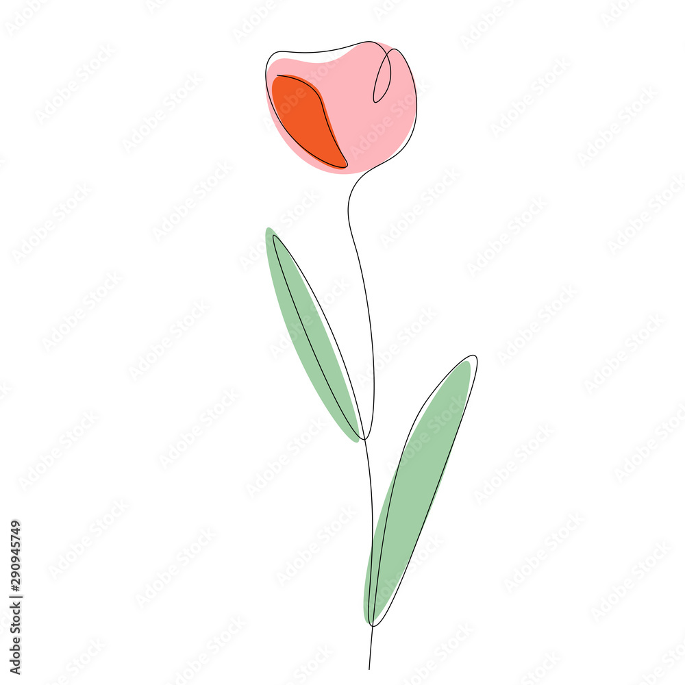 Spring flower isolated on white background, tulips vector illustration Spring flower isolated on white background, tulips vector illustration