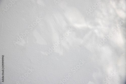 shadow of leaf tree on white cement wall - black and white gray background