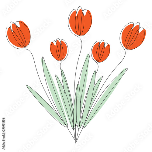 Spring flowers isolated on white background, tulips vector illustration