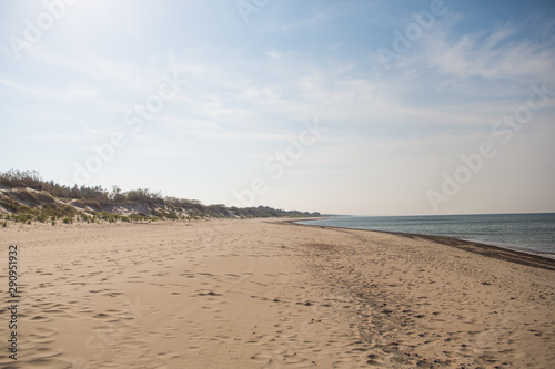 Curonian spit, national park in the Kaliningrad region, the beach of the Baltic Sea