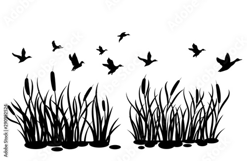 A flock of wild ducks flying over a pond with reeds. Black and white illustration of ducks flying over the river. Vector drawing of a wild bird for the hunter.