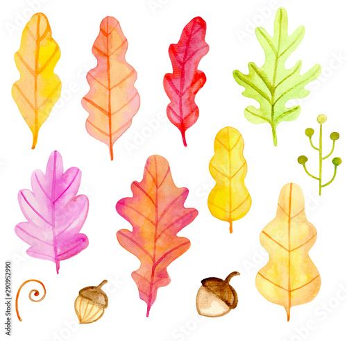 Set of vector watercolor oak leaves