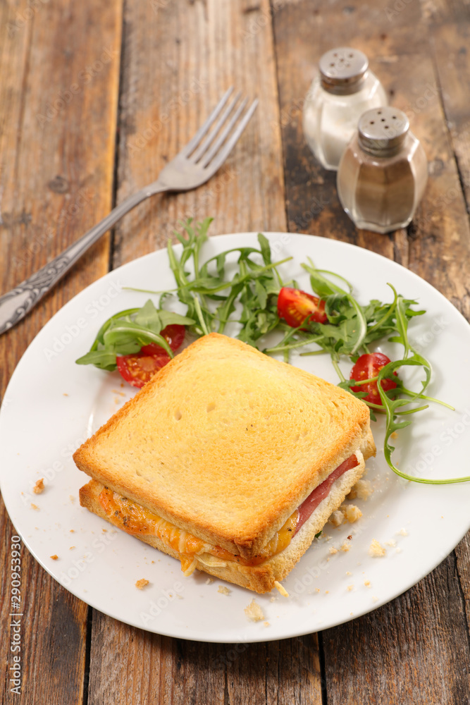 croque monsieur with salad- toasted bread with cheese and ham