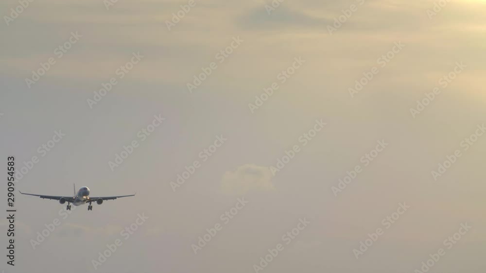 Close up shot of huge commercial jet aircraft is landing in airport in sunset with yellow color