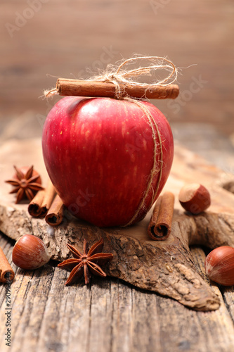 red apple with spices, anise and cinnamon stick