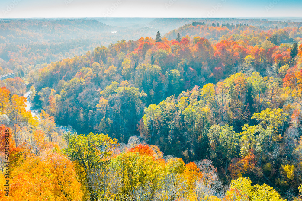 Aerial View of  Forest in Sigulda at Autumn Time, Latvia - Image
