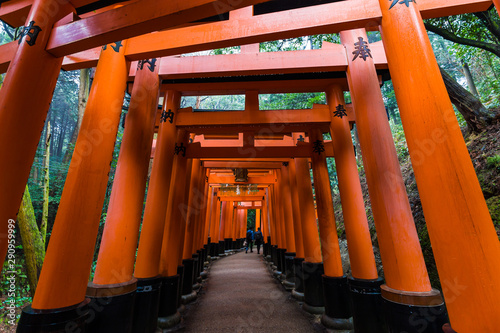 Red tori gate pathway in Fushimi inari shrine of Kyoto