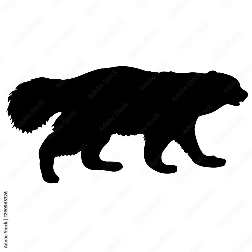 Silhouette of Wolverine on a white background