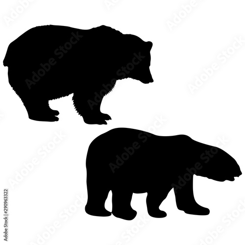 Silhouette of a white and brown bear on a white background