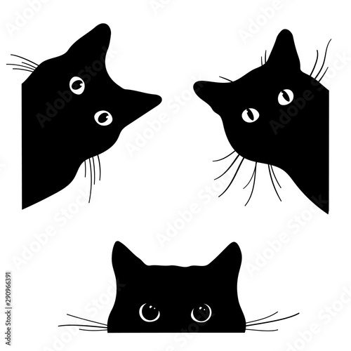 Slika na platnu Set of black cats looking out of the corner