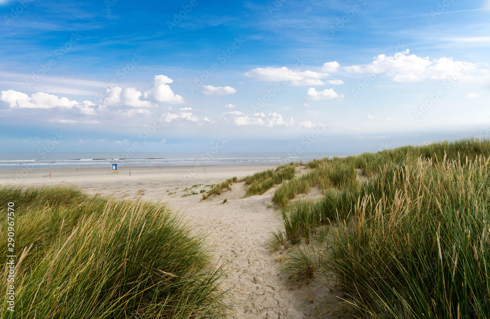 Wonderful dune beach landscape with path to the sea on the North Sea island Langeoog in Germany with sky and clouds on a beautiful summer day, Europe.