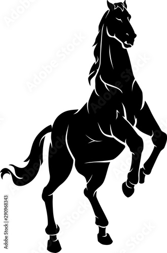 Horse Standing on Hind Legs, Animal Silhouette
