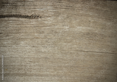 Wood texture background. Wood planks. Texture of bark wood.