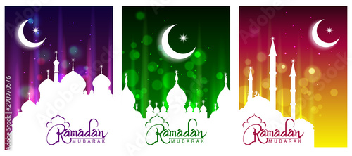 easy to edit vector illustration of Islamic celebration background with text Ramadan Kareem