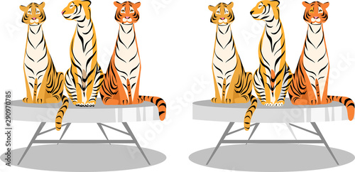 find 10 differences. vector image of tigers for development. picture for children