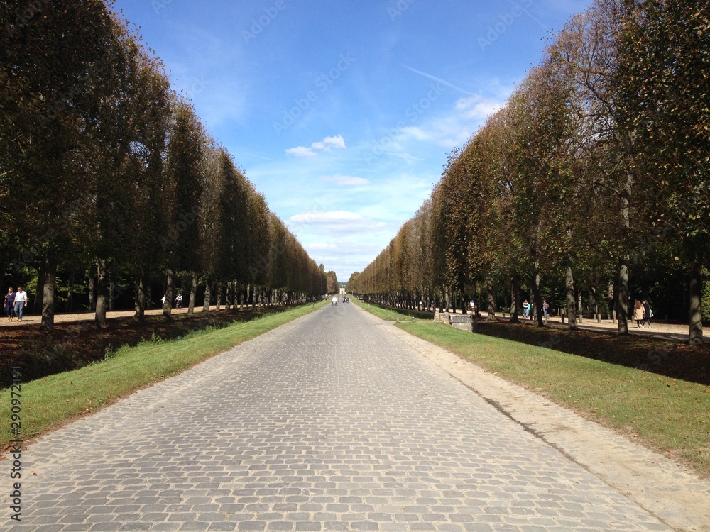 Fototapeta premium French garden