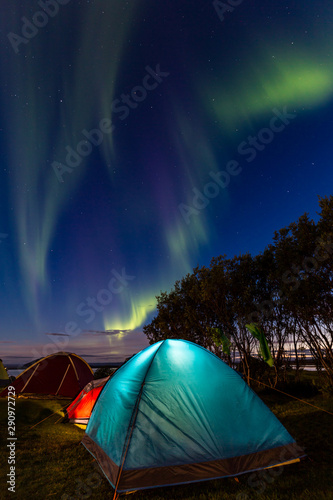 Night shot of an icelandic landscape with colorful camping tents in the foreground and silohuette of trees in the background, under a blue sky with green northern lights