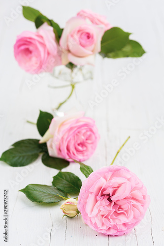 Pink roses in a glass