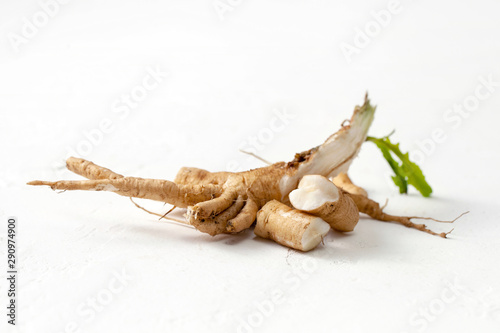 Raw chicory root (Cichorium intybus) with leaves on a white background.
