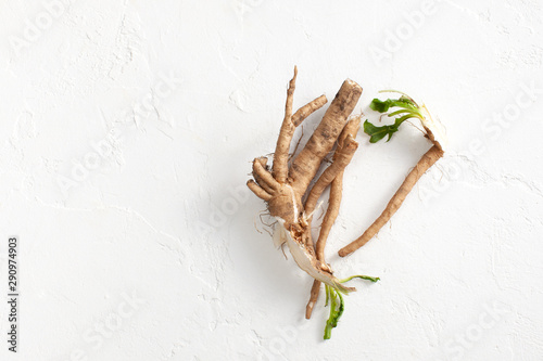 Crude chicory root (Cichorium intybus) with leaves on a white background.