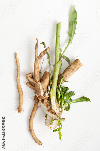 Crude chicory root (Cichorium intybus) with leaves on a white background.