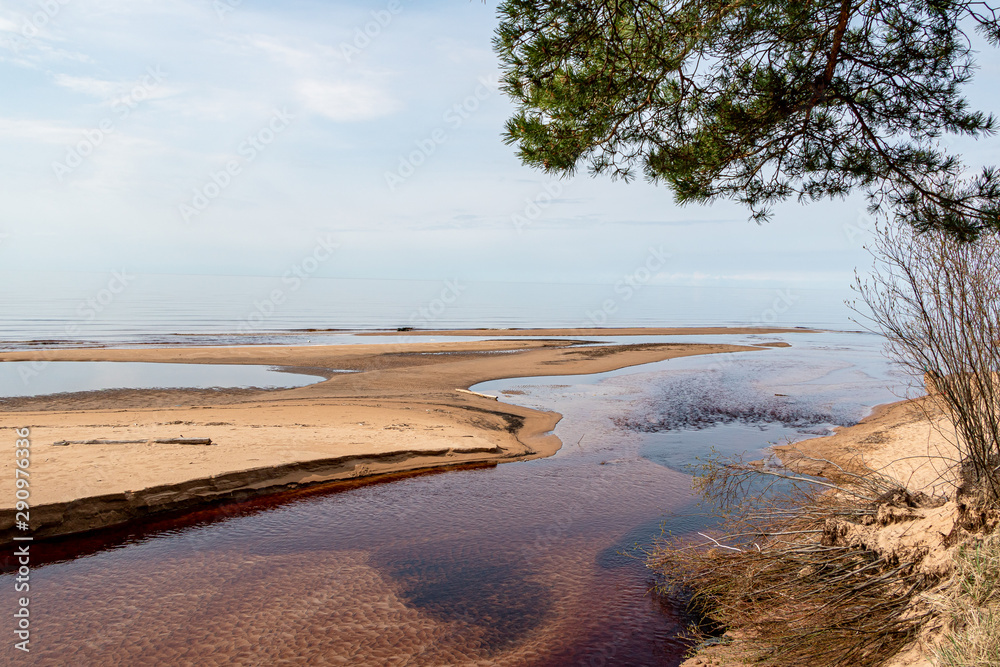 custom made wallpaper toronto digitalSeaside view with river flowing into the Baltic sea in spring season in Saulkrasti in Latvia