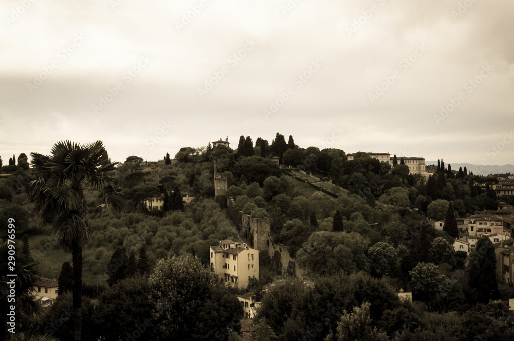 Fototapeta premium Beautiful view of the medieval center of Florence