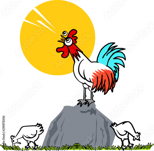 roosters and chickens roam the farm life