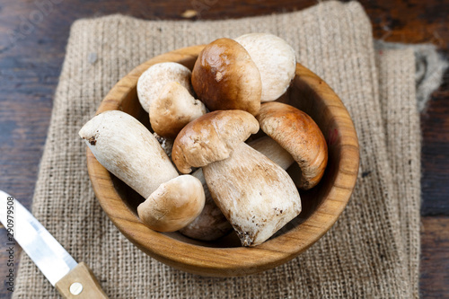 boletus mushrooms in a plate on the table