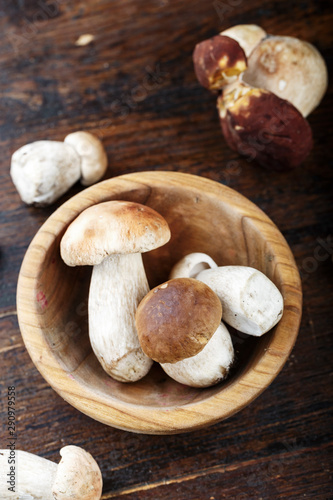 raw boletus place for text