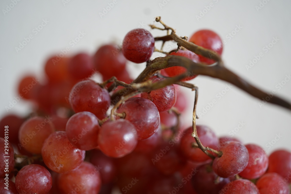 Fototapeta premium Weintrauben, rot