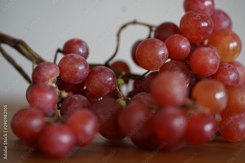Fototapeta premium Weintrauben, rot