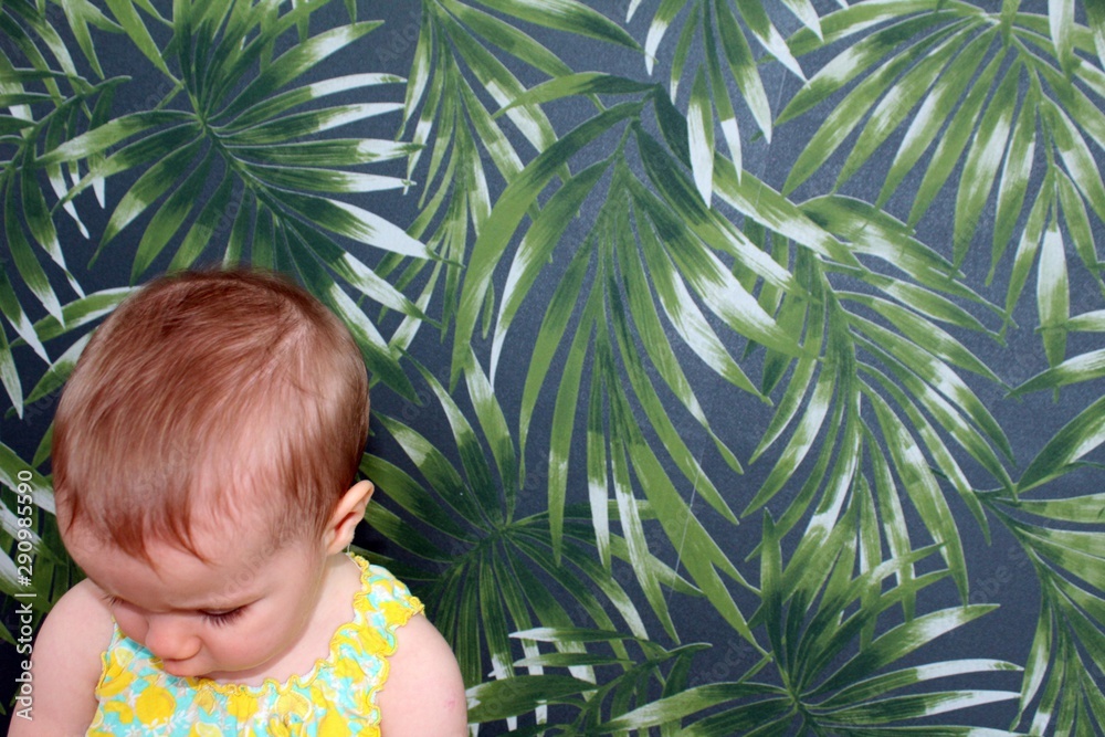 dziecko i monstera
