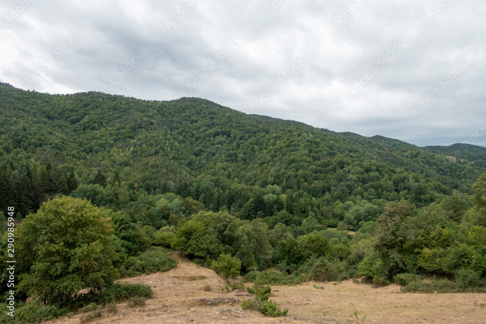 Road between Olot and Ripoll in the Catalan Pyrenees