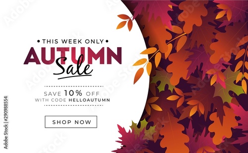 Sale banner with foliage for autumn promotions vector illustration. Profitable proposition save 10 percent this week only. Landing page with fall leaves and shop now button. Advertising concept photo