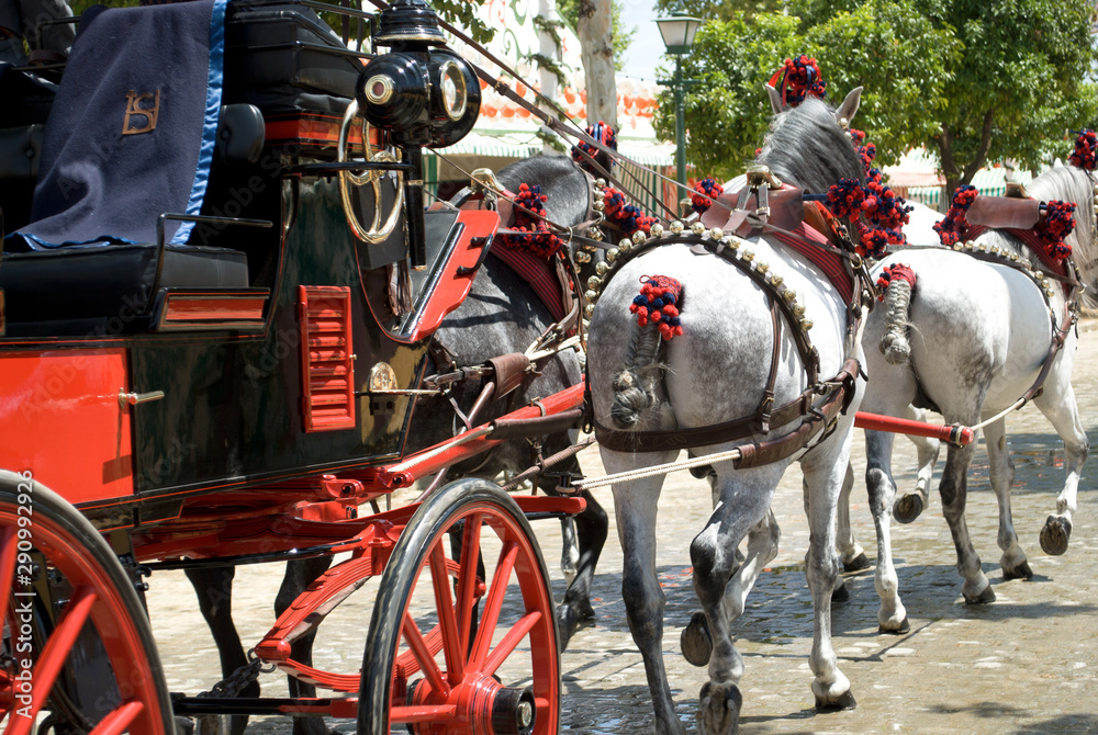 horses and carriages at the Feria de Abril in Sevilla, spain