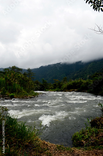 Neblina sobre el río