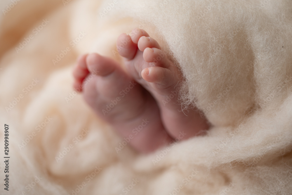 Closeup of newborn baby feet. copy space Closeup of newborn baby feet. copy space
