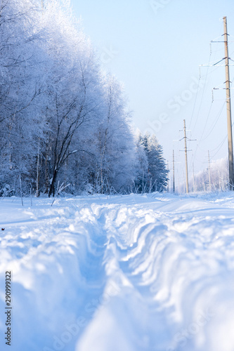 winter rural landscape with snowy trees and snow