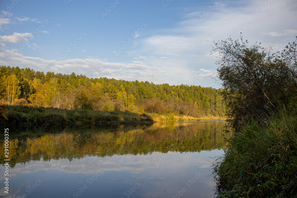 River in the autumn forest