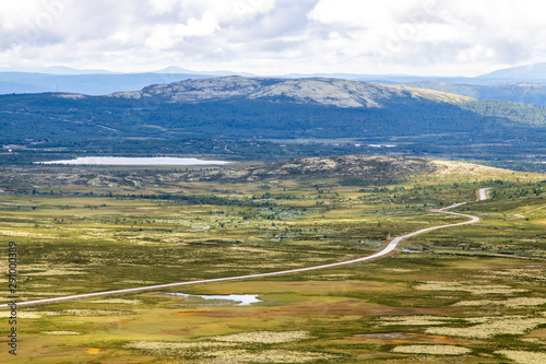 scandinavian fjell landscape, road