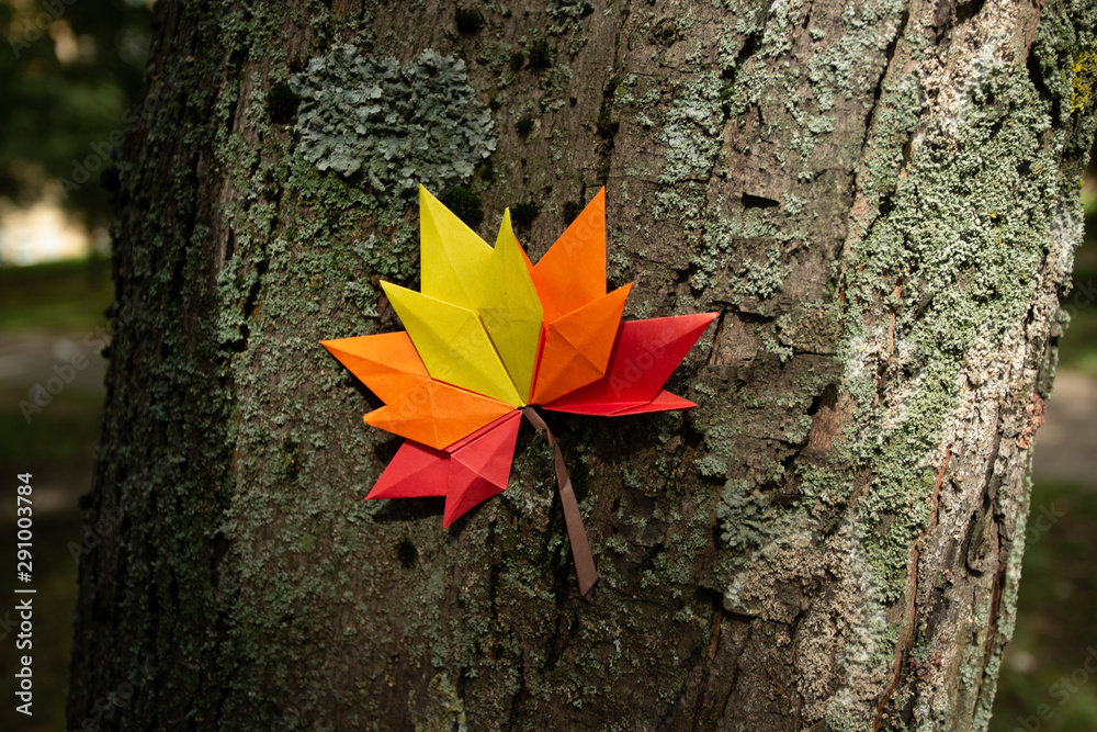 Autumn concept background traditional paper craft handmade origami fallen maple leaves nature Colorful backround image perfect for seasonal use