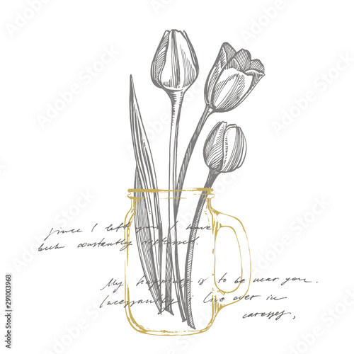 Tulip flower graphic sketch illustration. Botanical plant illustration. Vintage medicinal herbs sketch set of ink hand drawn medical herbs and plants sketch. Handwritten abstract text